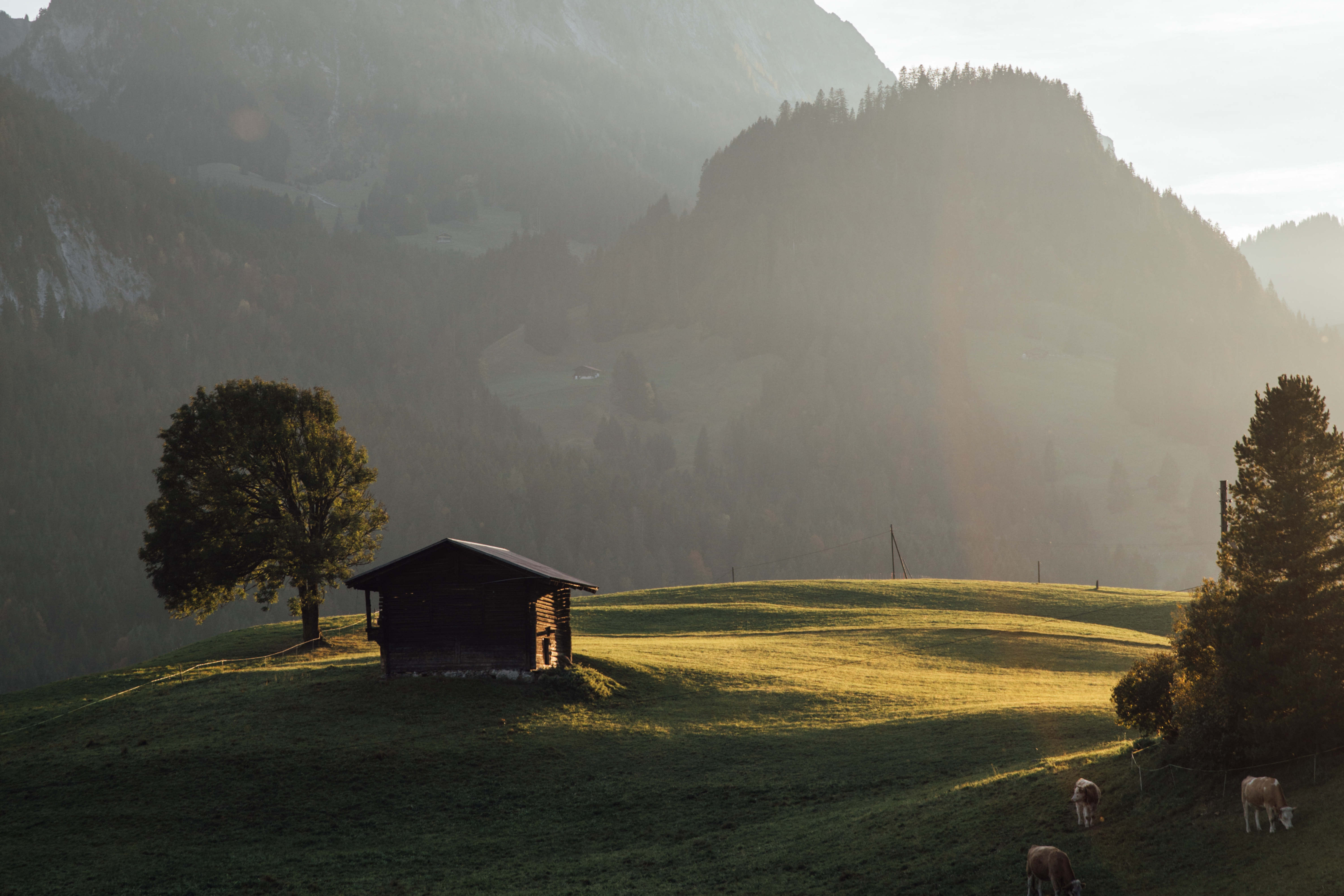 nkimmobilien gstaad nkimmobilien gstaad - Rubli bei Sonnenuntergang